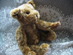 CINNAMON BEAR_01